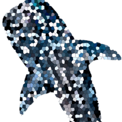 Whaleshark Pattern Mantaraj