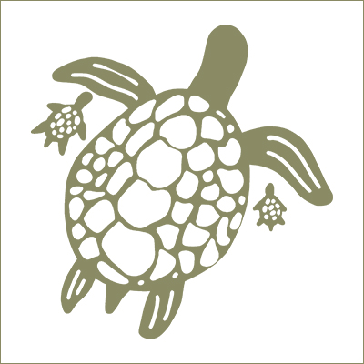 Turtle Sanctuary Donation Program